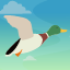 Duckmeister